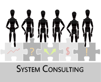 System Engineering Consulting
